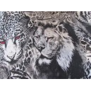 Úplet panel 1,5 M x 160cm š.    č.50